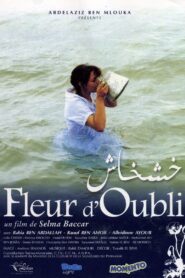 Flower of Oblivion 2006 one on netflix