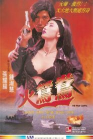 The Wild Couple 1996 one on netflix