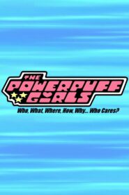 The Powerpuff Girls: Who, What, Where, How, Why… Who Cares? 2009 one on netflix