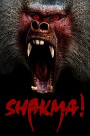 Shakma 1990 one on netflix