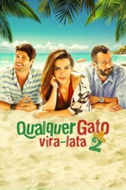 Any Stray Cat 2 2015 one on netflix