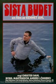 The Last Bid 1981 one on netflix