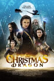 The Christmas Dragon 2014 one on netflix