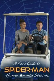 A Fan’s Guide to Spider-Man Homecoming 2017 one on netflix