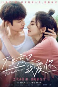 Don’t Forget I Love You 2022 one on netflix