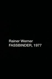 Rainer Werner Fassbinder, 1977 2005 one on netflix