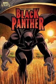 Black Panther 2010 one on netflix