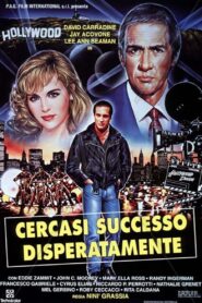 Desperately Looking For Success 1994 one on netflix