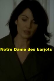 Notre Dame des Barjots 2010 one on netflix