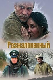 Degraded Officer 2009 one on netflix