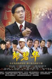 邹碧华 2017 one on netflix