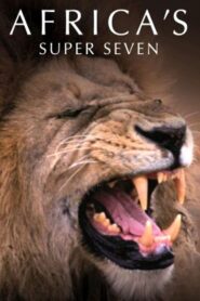 Africa’s Super Seven 2005 one on netflix