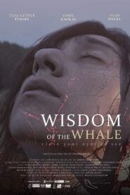 Wisdom of the Whale 2024 one on netflix
