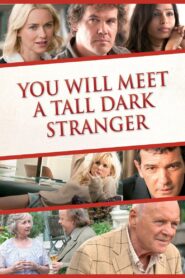 You Will Meet a Tall Dark Stranger 2010 one on netflix