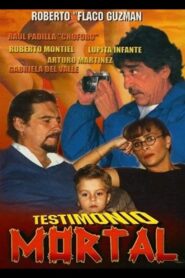 Testimonio mortal 1993 one on netflix
