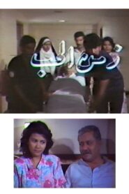 Zamn Al Houb 1990 one on netflix