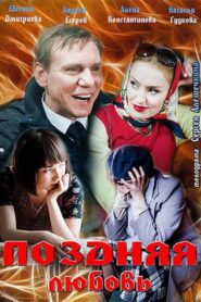 Late love 2012 one on netflix