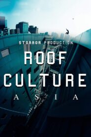 Roof Culture Asia 2017 one on netflix