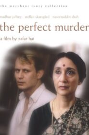 The Perfect Murder 1988 one on netflix