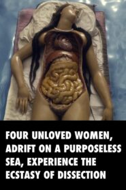 Four Unloved Women, Adrift on a Purposeless Sea, Experience the Ecstasy of Dissection 2023 one on netflix