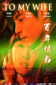 百年情书 2011 one on netflix