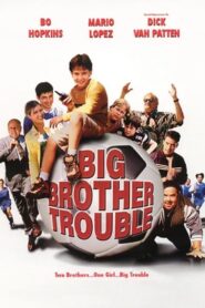 Big Brother Trouble 2000 one on netflix