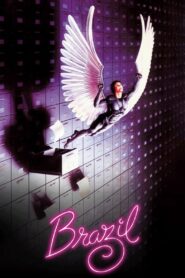 Brazil 1985 one on netflix