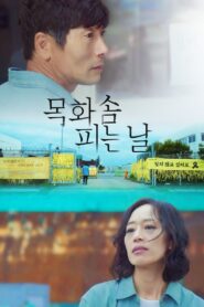 When We Bloom Again 2024 one on netflix