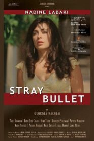 Stray Bullet 2010 one on netflix