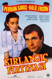 Kırlangıç Fırtınası 1985 one on netflix