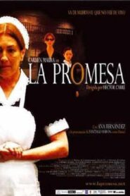 La promesa 2004 one on netflix