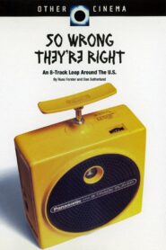 So Wrong They’re Right 1995 one on netflix