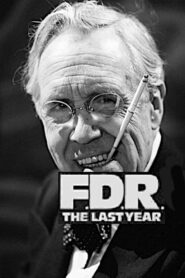 F.D.R.: The Last Year 1980 one on netflix