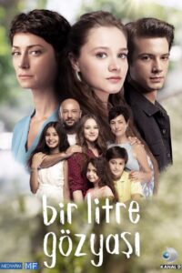 One Liter Tear 2018 one on netflix