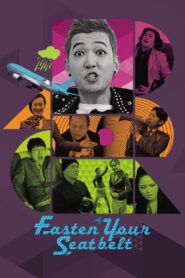 Fasten Your Seatbelt 2013 one on netflix