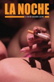 The Night 2016 one on netflix