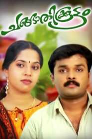 Changathikoottam 2009 one on netflix
