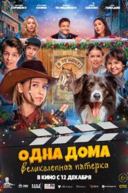 Alone at Home. The Magnificent Five 2024 one on netflix