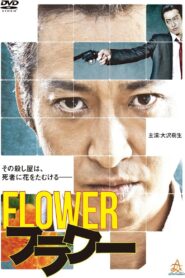 Flower 2013 one on netflix