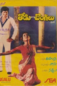 Todu Dongalu 1981 one on netflix
