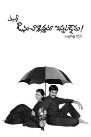Avunu Valliddaru Ishtapaddaru! 2002 one on netflix