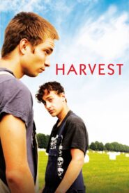 Harvest 2011 one on netflix