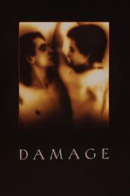 Damage 1992 one on netflix