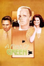 A Flash of Green 1984 one on netflix