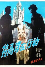 The Secret Service in Action 1981 one on netflix
