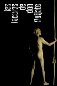 Las locuras de don Quijote 2006 one on netflix