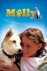 Molly 1983 one on netflix