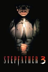 Stepfather 3 1992 one on netflix