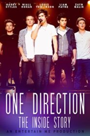 One Direction: The Inside Story 2014 one on netflix