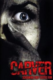 Carver 2008 one on netflix